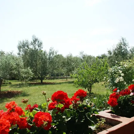 Spacious Near Sea In