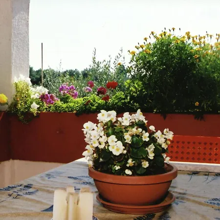 Spacious Near Sea In Tatil Evi *